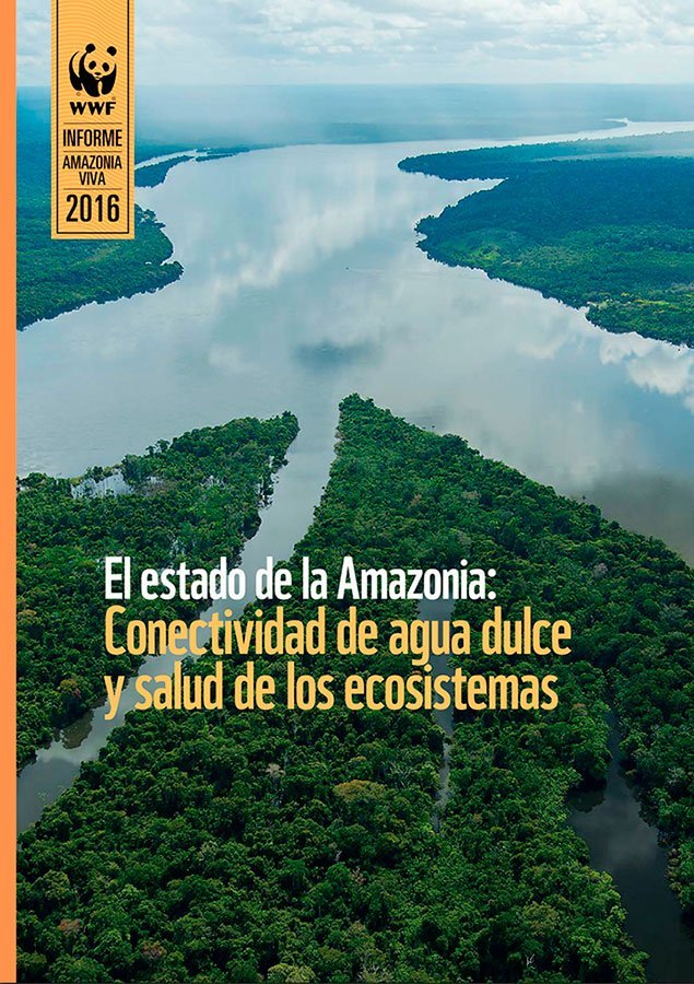 Nuevas especies de vertebrados y plantas en la Amazonia
